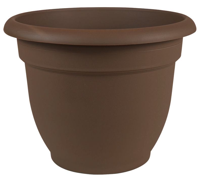 Bloem 20-56312CH Ariana Self Watering Plastic Planter, Chocolate, 12"