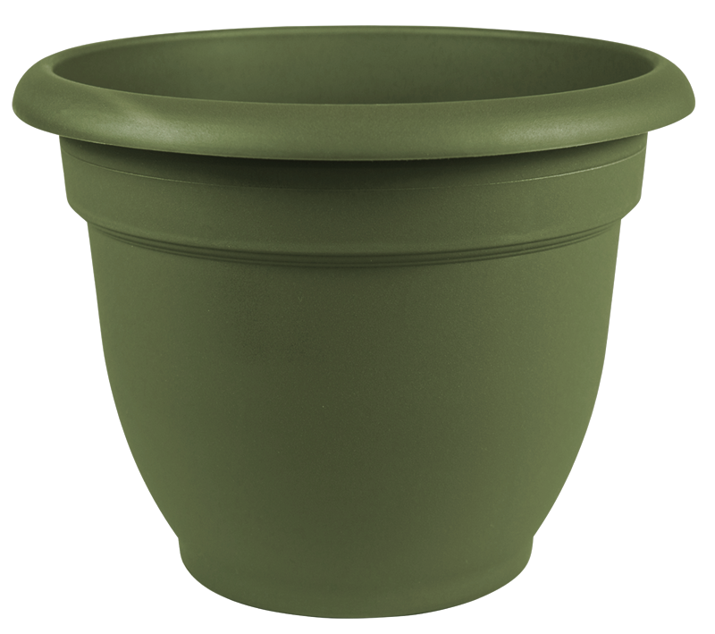Bloem 20-56406 Ariana Self Watering Plastic Planter, Living Green, 6"