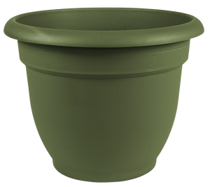 Bloem 20-56410 Ariana Self Watering Plastic Planter, Living Green, 10"