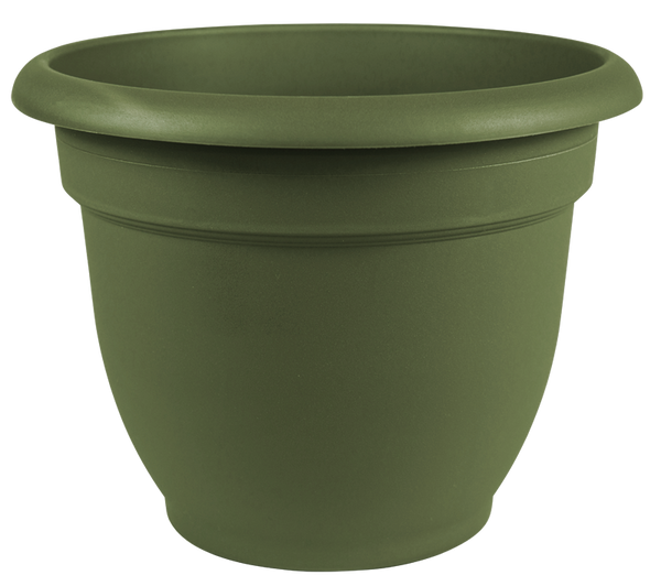Bloem 20-56410 Ariana Self Watering Plastic Planter, Living Green, 10"