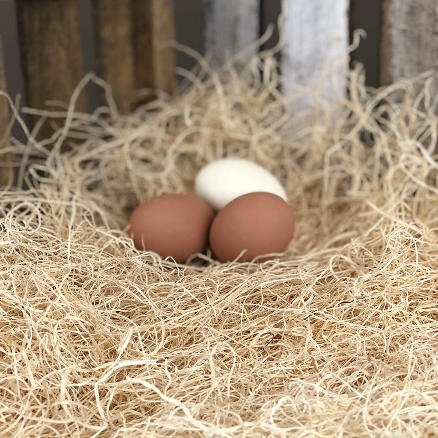 Happy Hen Treats 17033 Excelsior Nesting Pads, 9.5" x 12", 15 Counts