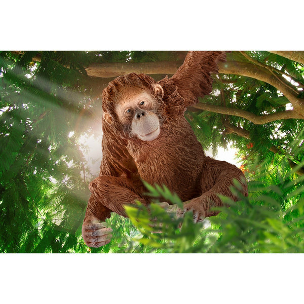 Schleich 14775 Figurine Female Orangutan Toy