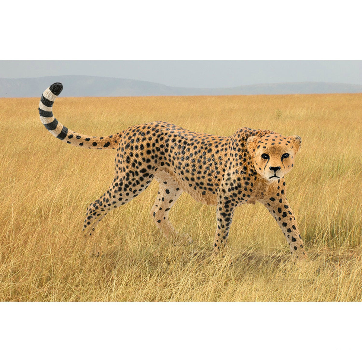 Schleich 14746 Figurine Female Cheetah Toy