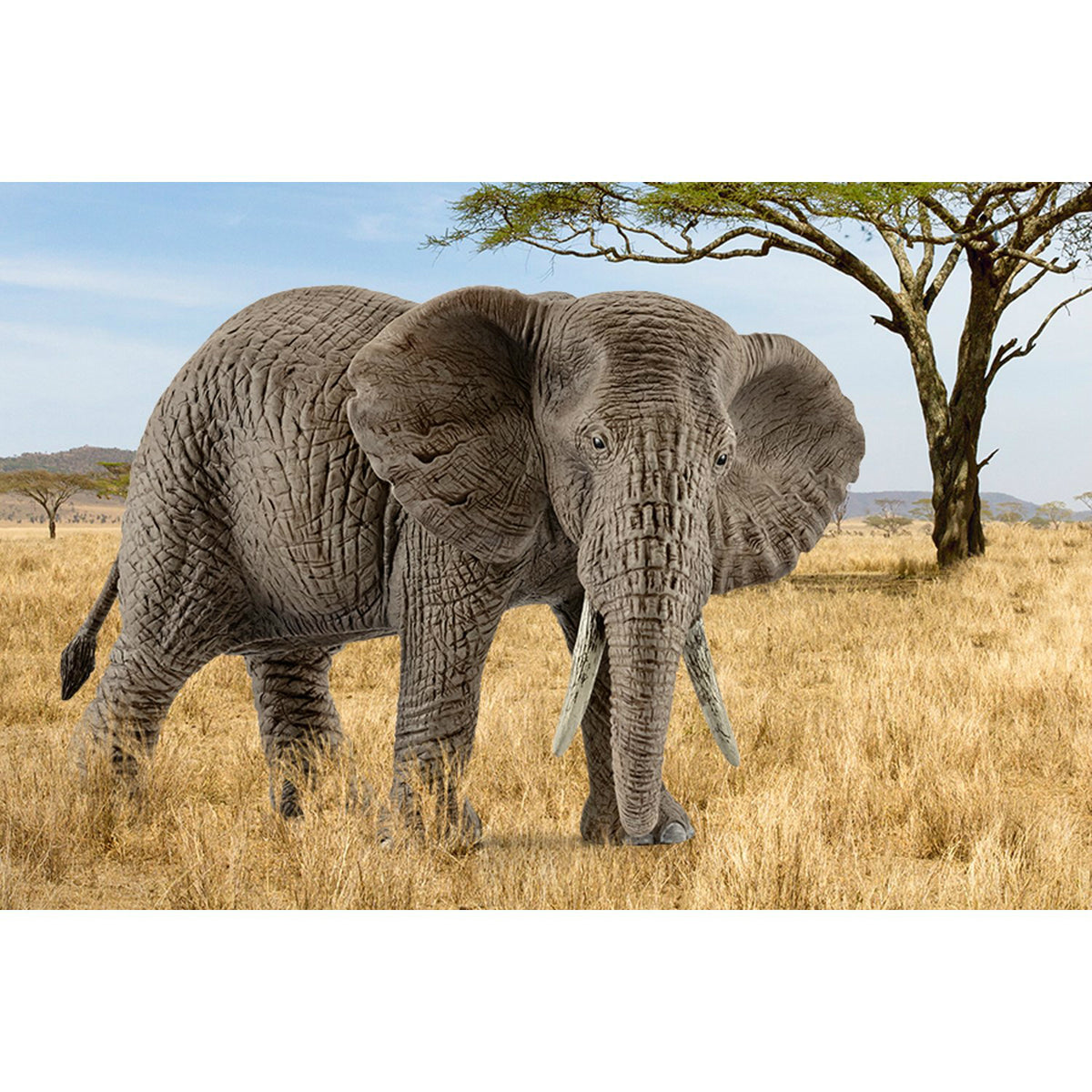 Schleich 14761 Figurine Female African Elephant Toy