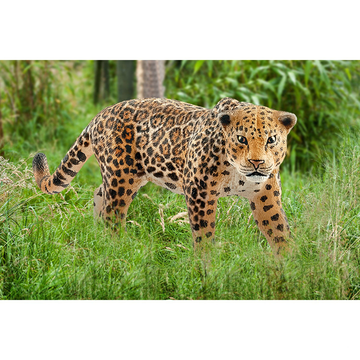 Schleich 14769 Figurine Jaguar Toy