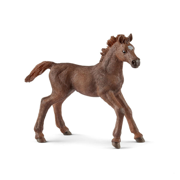Schleich 13857 Figurine English Thoroughbred Foal Toy