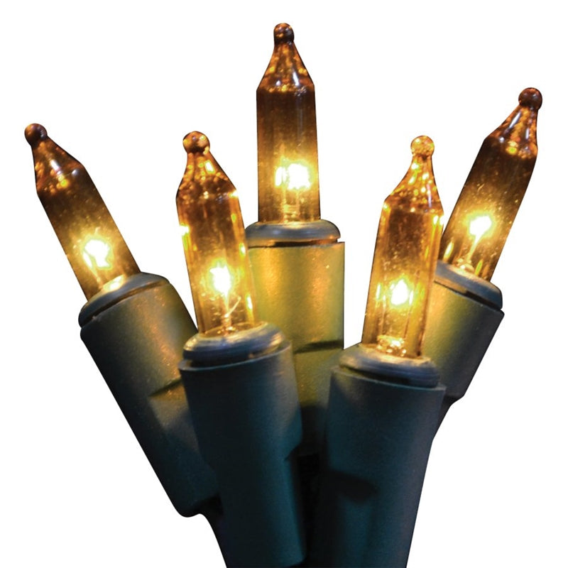 Holiday Bright 201000MBX Commercial Grade Incandescent 100 Light Set, Clear, 5V