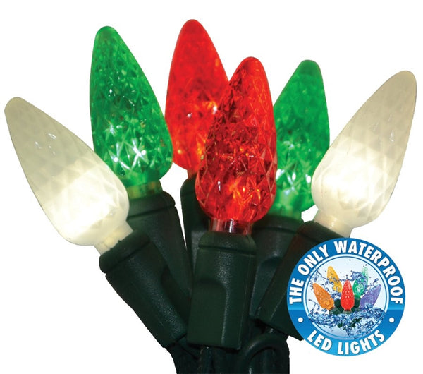 Holiday Bright LEDBX-C650-TR6 Commercial Grade C6-LED 50 Light Set, 25-1/2'