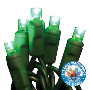 Holiday Bright LEDBX-WA50-GR6 Contractor Grade LED 50 Light Set, Green