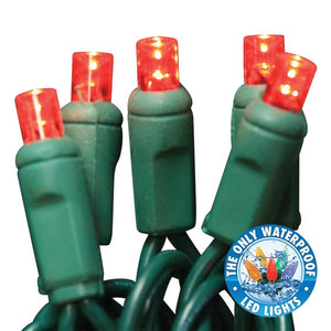 Holiday Bright LEDBX-WA50-RD6 Contractor Grade LED 50 Light Set, Red