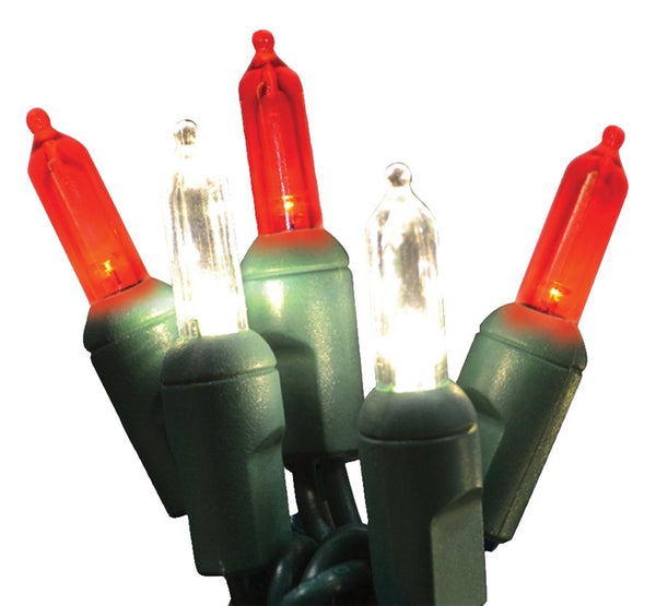 Holiday Bright LEDBX-T550-CC6 Contractor Grade T5-LED 50 Light Set, Candy Cane