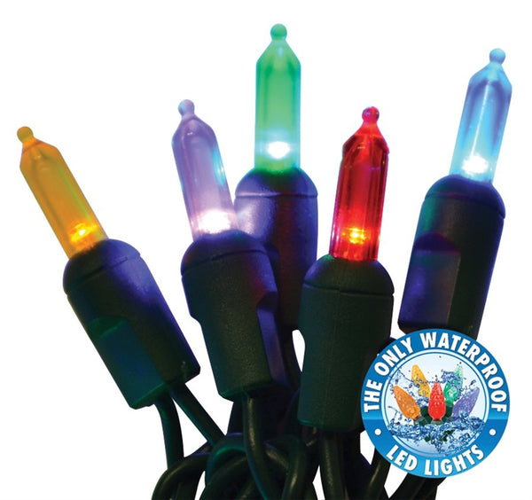 Holiday Bright LEDBX-T550-WW6 Contractor Grade T5-LED 50 Light Set, Multi