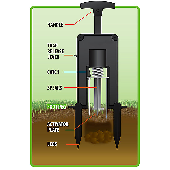 Victor M9015 Deadset Mole Trap