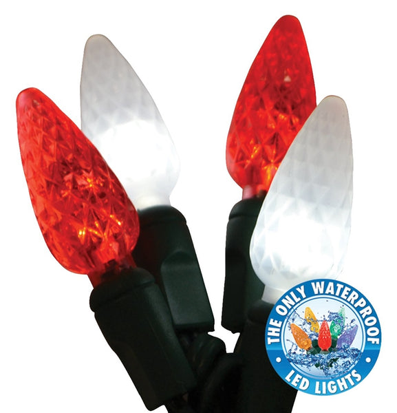 Holiday LEDBX-C650-CC6 Christmas Commercial C6 LED 50-Light Set 25.5', Red/White