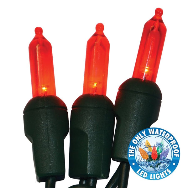 Holiday Bright LEDBX-T550-RD6 Christmas Commercial T5 LED 50-Light Set, Red