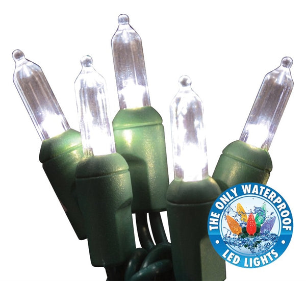 Holiday LEDBX-T550-PW6 Christmas Commercial T5 LED 50-Light Set, Pure White