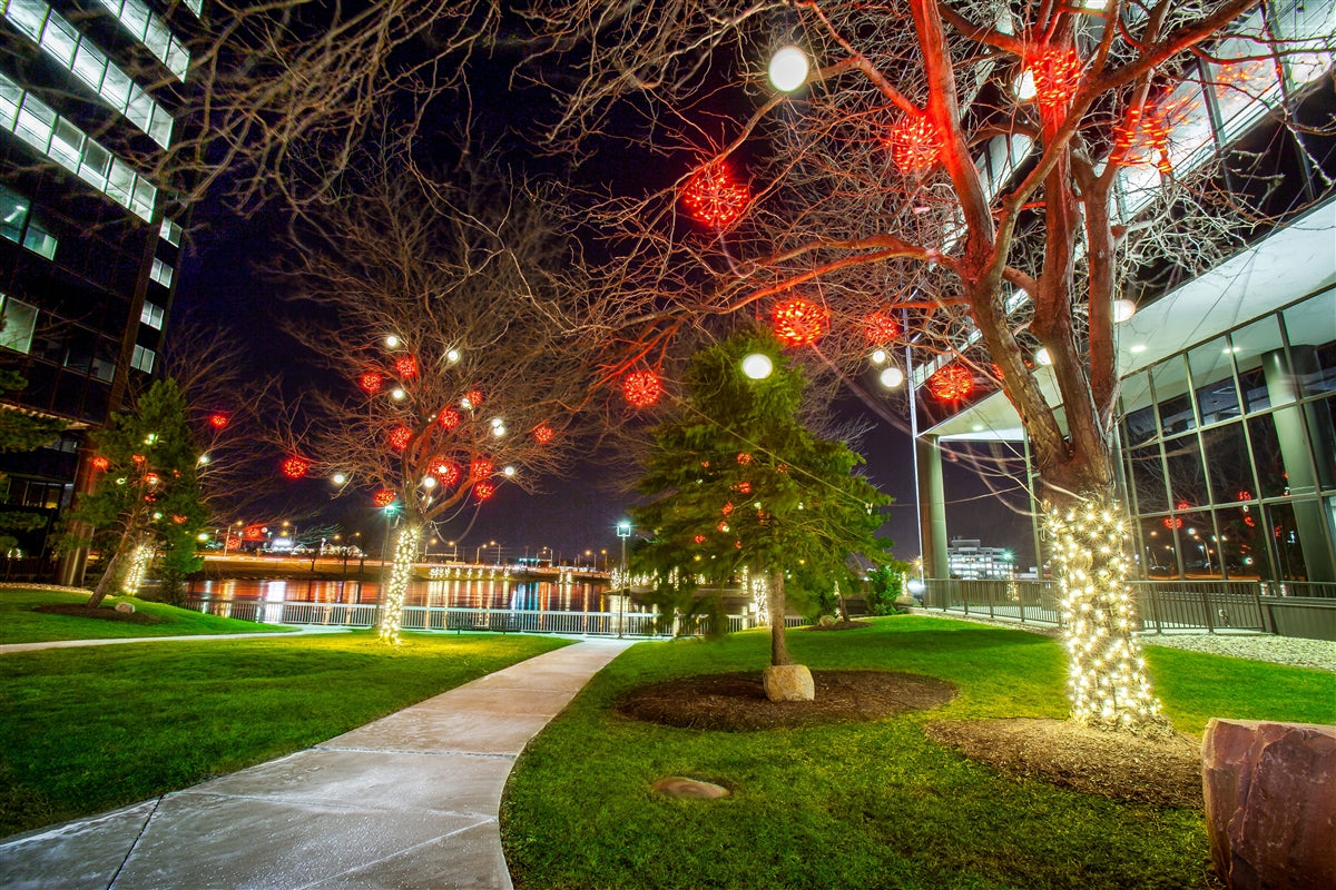 Holiday Bright LED3D16STLCLRD LED 3D Starlight Cluster with 72 Red Lights, 16"
