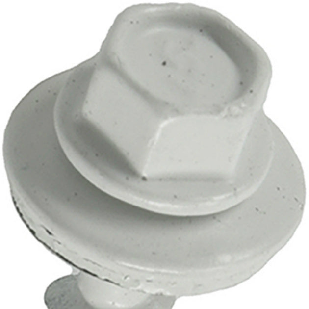 PowerPro 117906 Metal-To-Wood Self-Drilling Roofing Screw, Polish-White, 10x1",1 lb