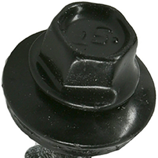 PowerPro 117907 Metal-To-Wood Self-Drilling Roofing Screw, Black, 10 x 1",1 lb