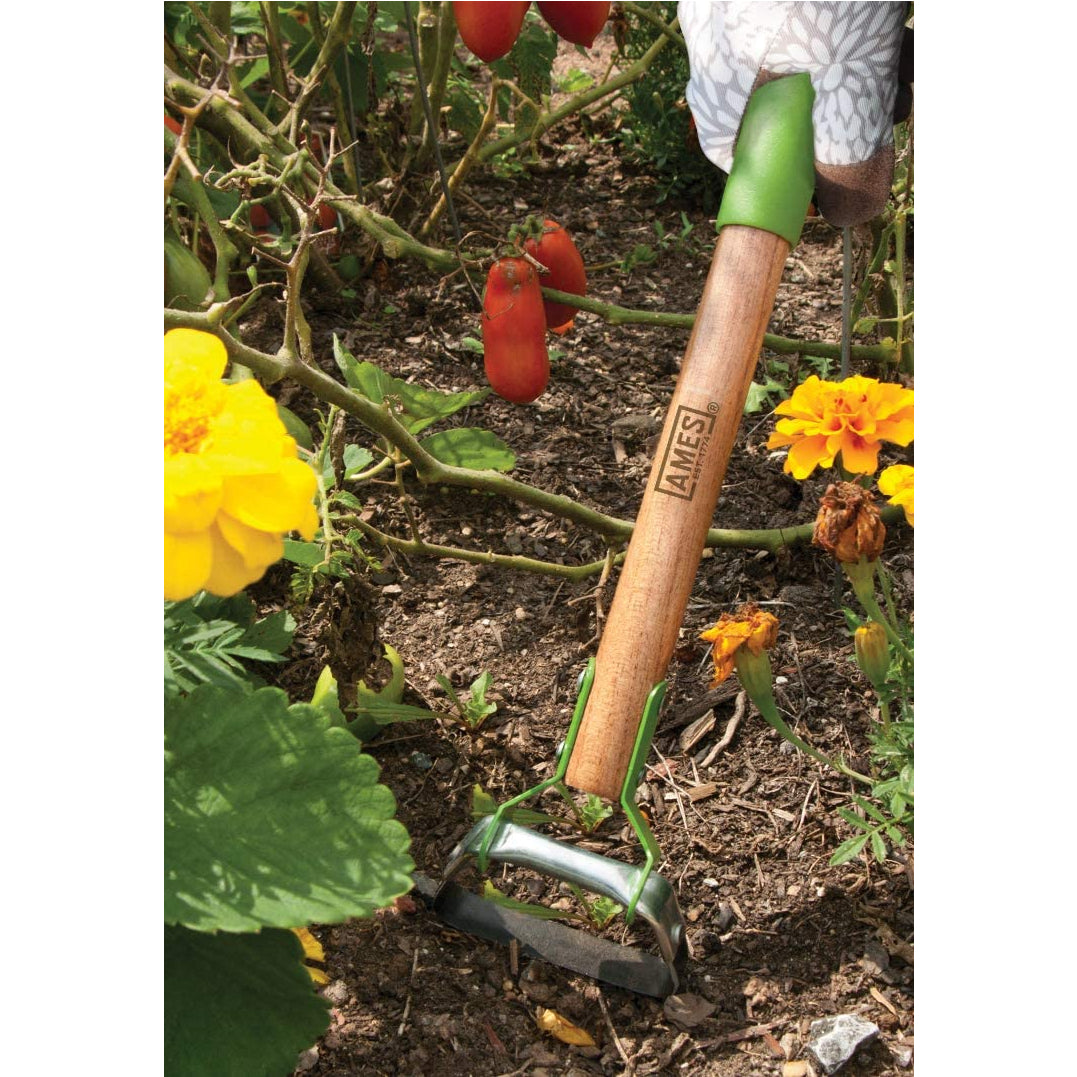 Ames 1985450 Mini Action Hoe, Wood Handle, 14"