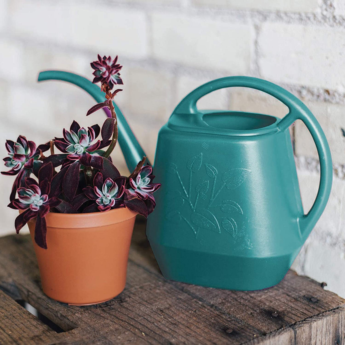 Bloem AW21-26 Aqua Rite Resin Watering Can, Bermuda Teal Green, 56 Ounce