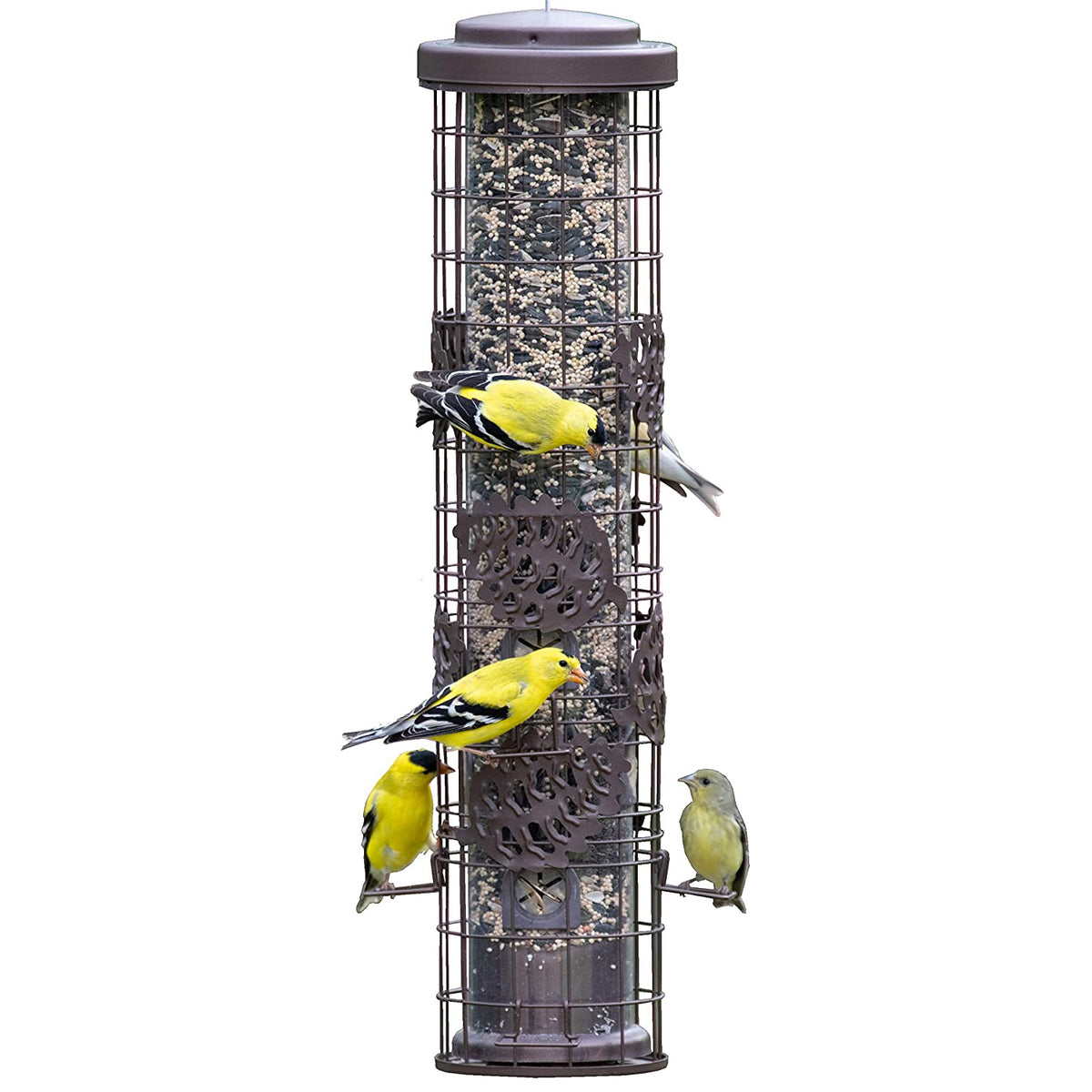 Perky-Pet SBG101 Squirrel-Be-Gone Cylinder Wild Bird Feeder, Metal