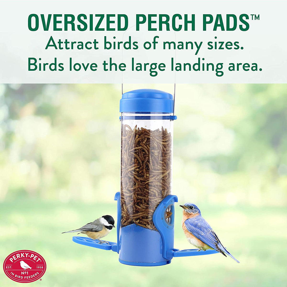 Perky-Pet 388F Wild Bird Feeder, Plastic,  3.5 Oz