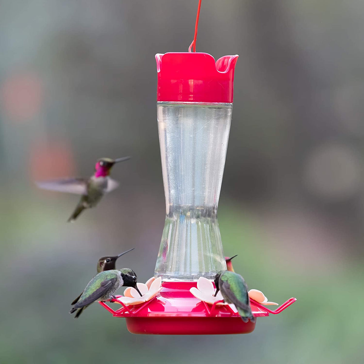 Perky-Pet 9201-6 Top-Fill Pinch-Waist Hummingbird Nectar Feeder, Glass