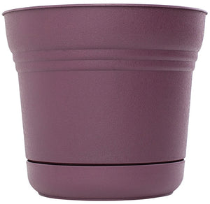 Bloem SP0729 Saturn Planter, Resin, 7", Passion Fruit