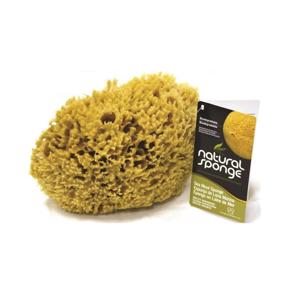 Armaly Proplus 68000 (SW#1-6070C) Seawool Sponge, 6" to 7", Gold