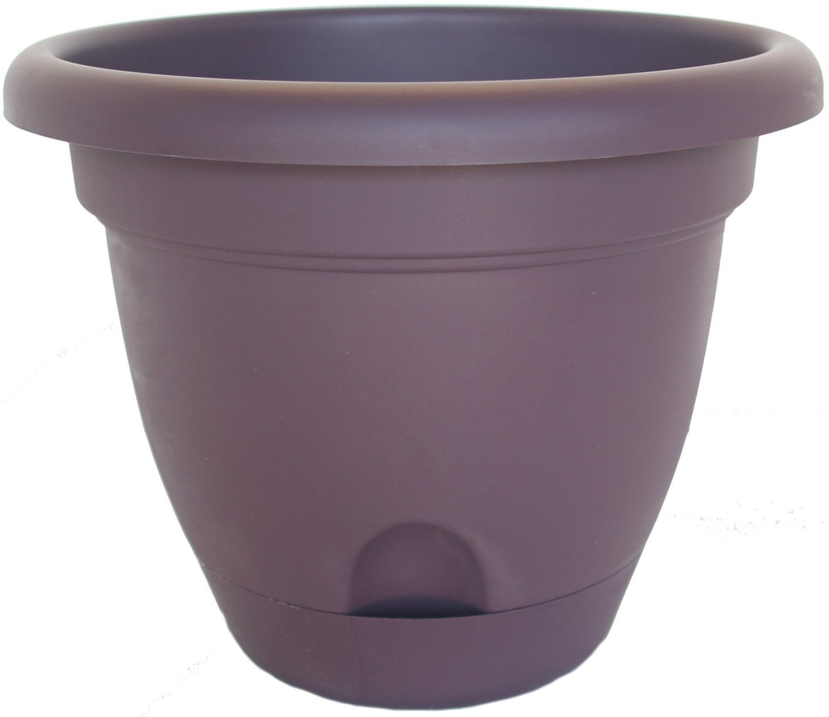 Bloem LP1256 Lucca Self-Watering Plastic Planter, Exotica, 12"