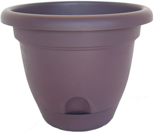 Bloem LP1256 Lucca Self-Watering Plastic Planter, Exotica, 12"