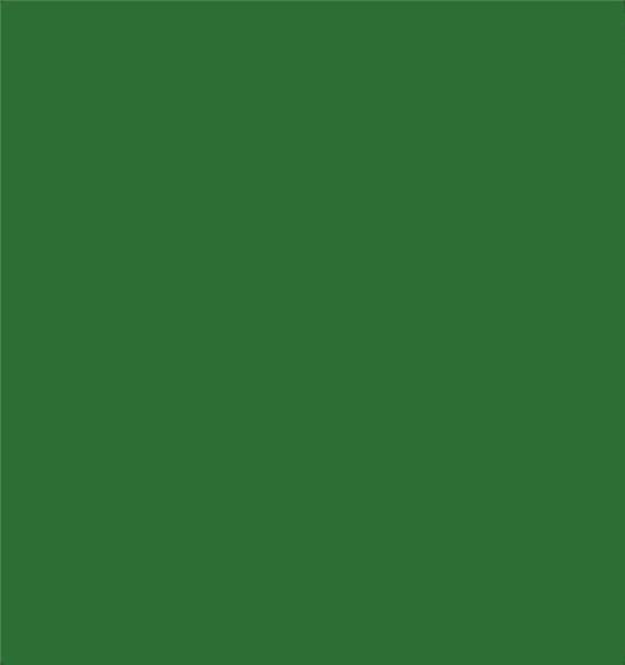 Santas Forest 68024 Tissue Paper Sheets, Green, 20" x 20"