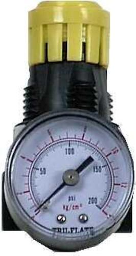 Tru-Flate 24444 Mini Heavy Duty Regulator 1/4" Npt