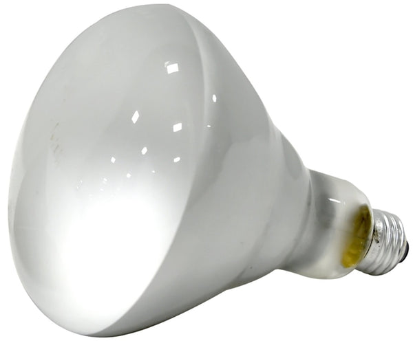 Sylvania 15451 Incandescent Lamp, 120 Volt, 125 Watts