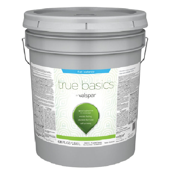 Valspar 080.0024551.008 True Basics Exterior Flat Paint