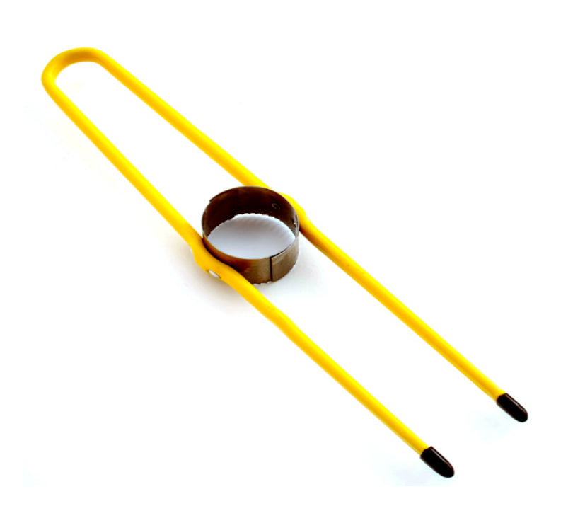 Norpro 5403 Corn Cutter, 10.5"