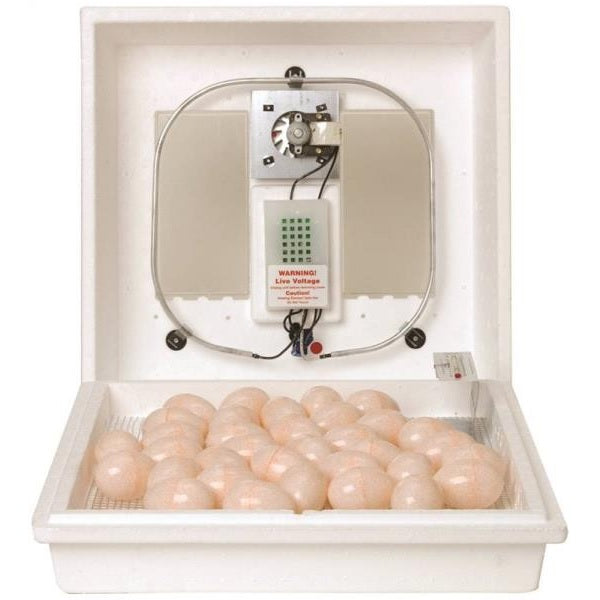 Miller 10300 Circulated Air Egg Incubator