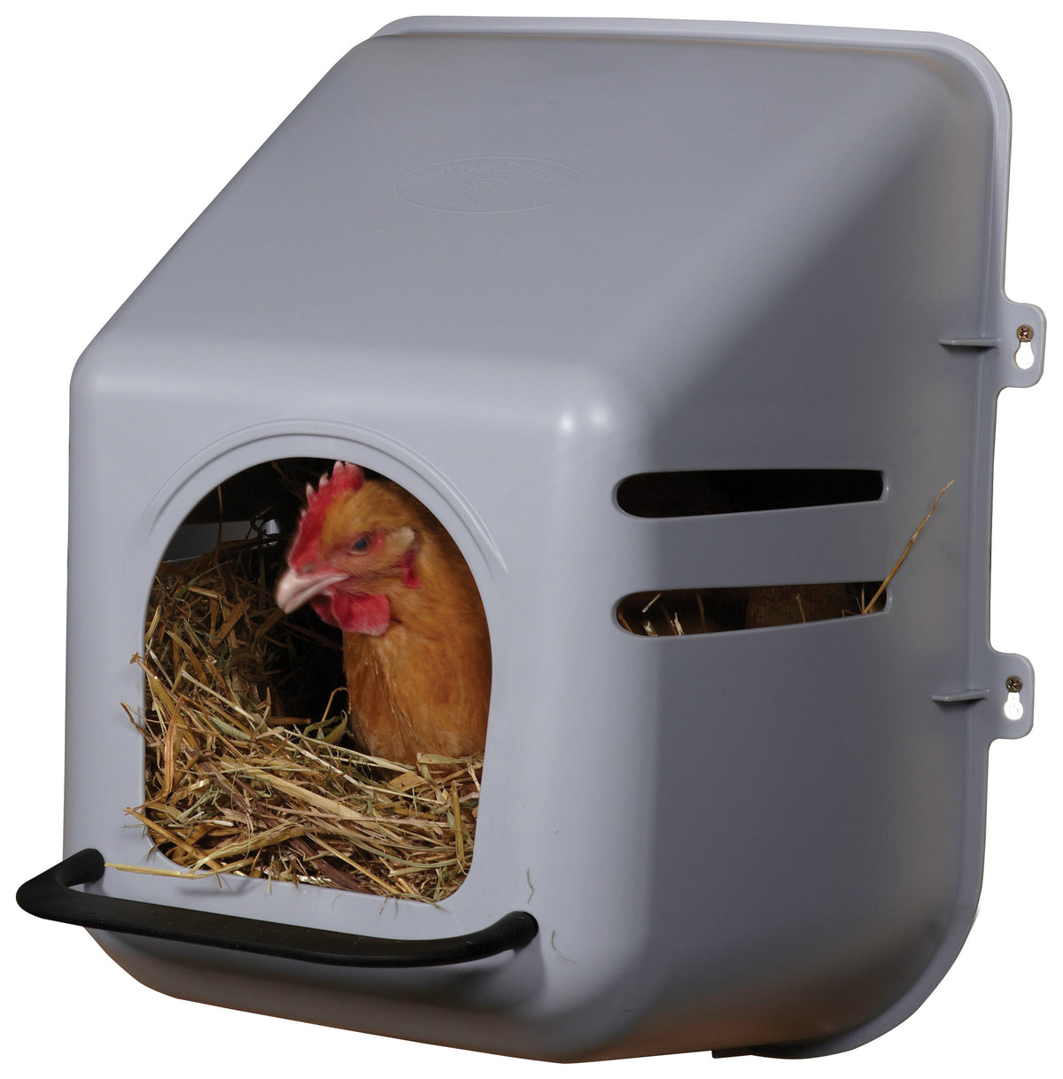 Little Giant 163620 Single Chicken Nesting Box, 3 Gal. Capacity