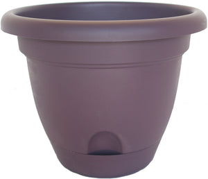 Bloem LP1056 Lucca Self-Watering Plastic Planter, Exotica, 10"