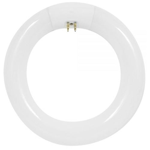 Fite Electric FC8T9/WW Energy Saving Circular Bulb, 22 Watt, White