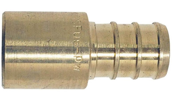 Apollo Valves CPXMS1212 Brass PEX Male Adapter, 1/2" x 1/2"