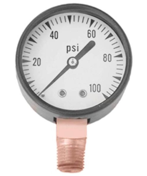 Simmons 1307 Pressure Gauge, Lead Free, 100 psi