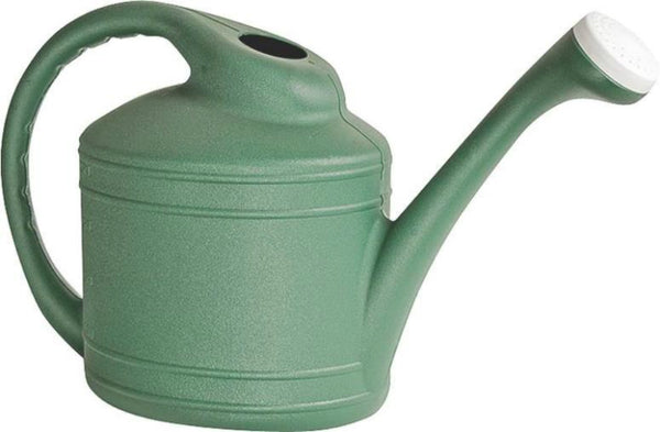 Southern Patio WC8108FE Watering Can, 2 Gallon, Fern Green