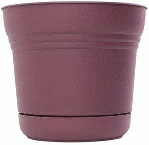 Bloem SP1229 Plastic Round Saturn Planter with Saucer, 12", Passion Fruit