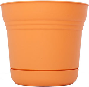 Bloem SP1220 Plastic Round Saturn Planter with Saucer, 12", Tequila Sunrise