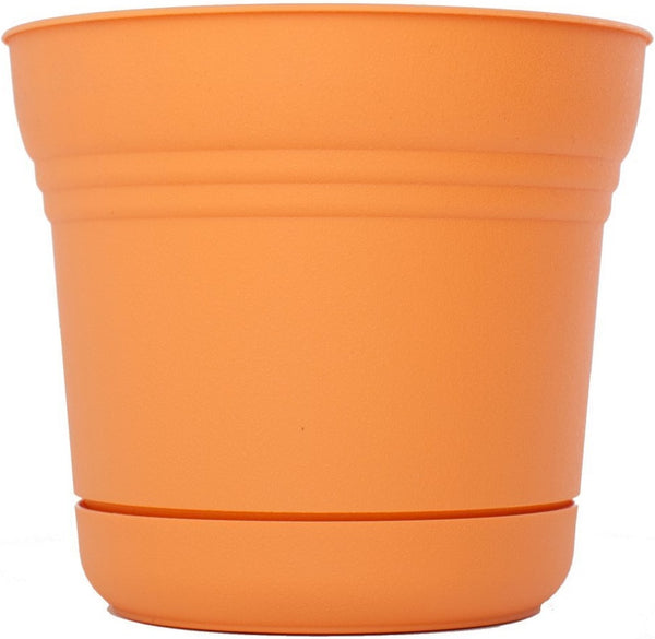 Bloem SP1220 Plastic Round Saturn Planter with Saucer, 12", Tequila Sunrise