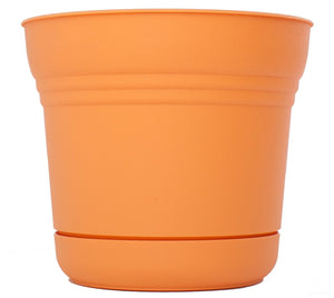 Bloem SP1020 Plastic Round Saturn Planter with Saucer, 10", Tequila Sunrise