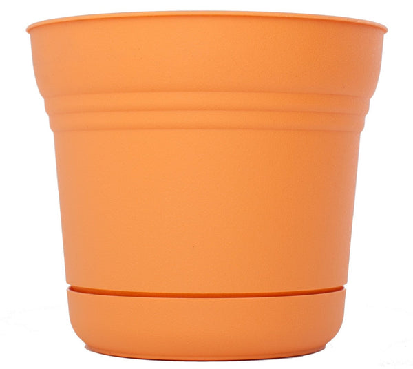 Bloem SP1020 Plastic Round Saturn Planter with Saucer, 10", Tequila Sunrise