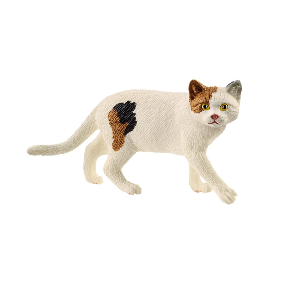Schleich 13894 Figurine Shorthair Cat, Plastic